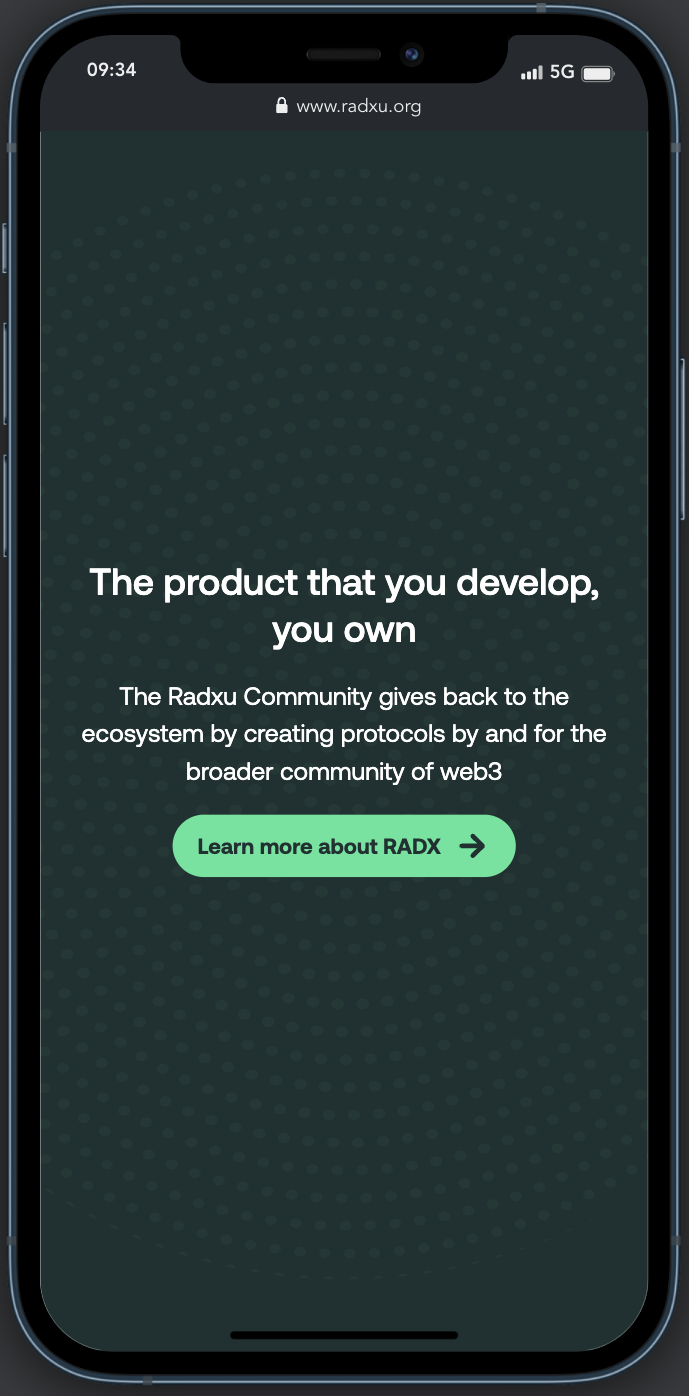 Radxu Landing Mobile 4